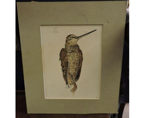 David Ord Kerr (b.1951)DEAD SNIPE, HANGINGInitialled l.r., watercolour17 x 13cm;and a watercolour, a Baxter print, and a prin