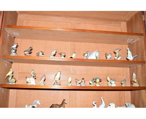 A collection of twenty four Royal Worcester birds.