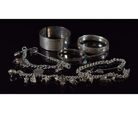 Two silver charm bracelets with twenty charms including Concorde, polo pony, dog, fish etc (102g), two silver bangles (60g), 