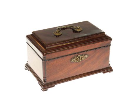 19th Century mahogany caddy with brass fitting on bracket feet