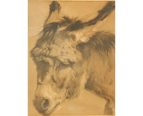 After Emile?.`  Portrait of a donkey, print, 58cm x 46cm Provenance: Butterfields, Thoresby Park, Nottinghamshire.