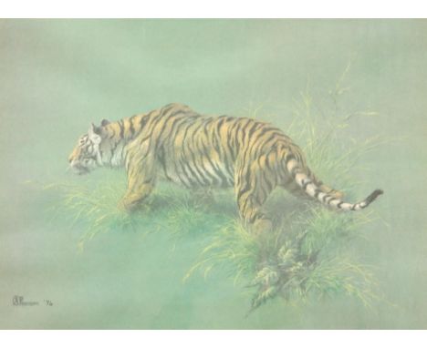 Stephen Pearson.  Tiger in the grass, artist signed coloured print, 49cm x 63cm.