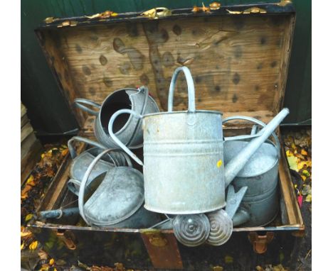 A black metal trunk, brass bound, containing seven galvanized metal watering cans, one and a half and two gallon.