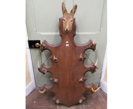 A good 19th century six tier gun rack (or hat stand) the antler hooks set on a shaped and moulded oak panel surmounted by a d