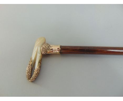 Interesting slim rosewood shafted, walking cane with gilt metal and mother of pearl knop, in the form of a crab's pincer
