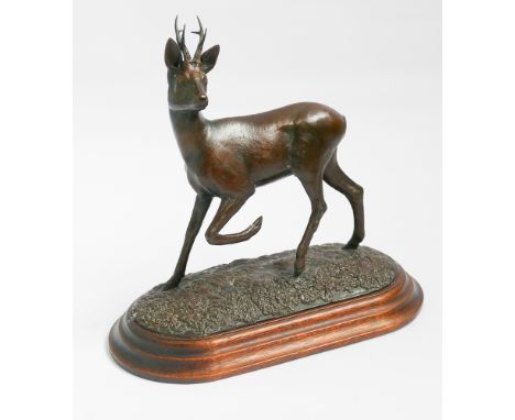 Artist copy bronze by Geoffrey Dashwood of a Roebuck on an oval base, signed Dashwood A-C.  Height 24cm 
