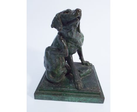 Green patinated bronze of a Labrador dog having a scratch on a square base.  Signed Walton 13.5cm 