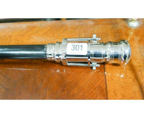 Walking stick with telescope inset 