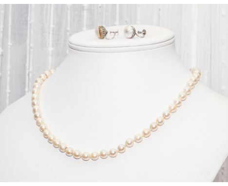 Uniform row of cultured pearls with amethyst 9ct gold clasp together with pair of cultured mabe pearl screw fitting earrings 