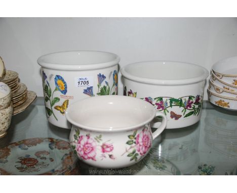 Three Portmeirion ''Botanic Garden'' items including two large jardinieres and smaller 'potty' shaper Planter