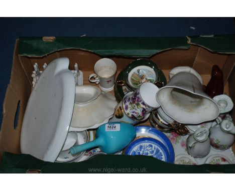 A quantity of china including five Regency Cups and Saucers with spaniel hunting dog decoration, Royal Worcester Mug, commemo