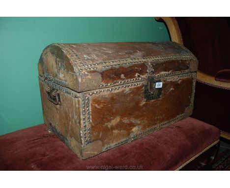 A skin covered Trunk