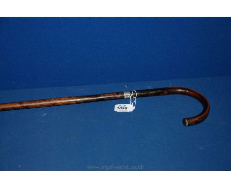 An English bamboo carved Walking Stick with silver band, Chester 1911