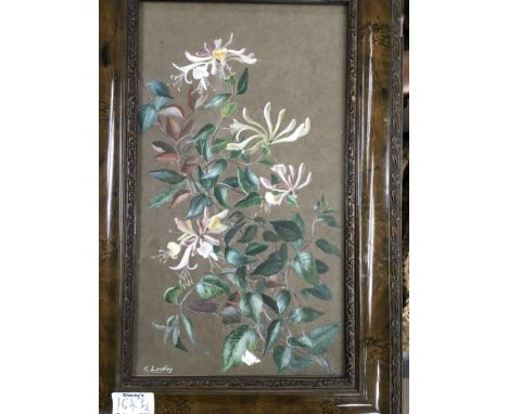 A pair of framed sill life floral watercolours depicting flowers and foliage signed K Laidlay . 20 cm x 35 cm.