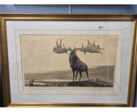 Winifred Marie Louise Austen (1876-1964) "The Irish Elk"  black and white drypoint etching, signed L/R.  56.5 x 32 cm 