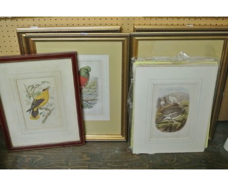 A collection of 19th century coloured engravings of ornithological subjects with examples from Cassell's book of birds includ