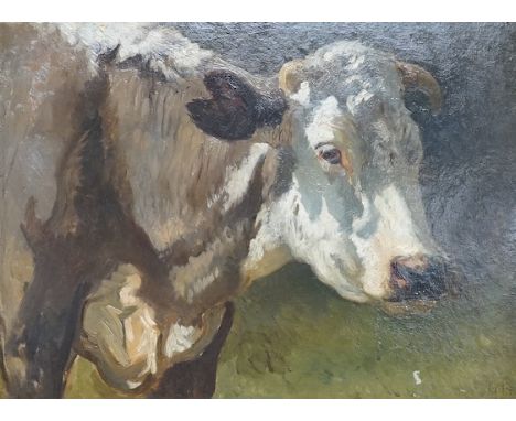 Impressionist oil on board, Study of a cow, initialled G B, 29 x 39cm, ornate gilt frame. Condition - good