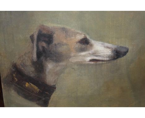 Early 20th Century oil on canvas loosely laid on board, portrait of a whippet, 9.5ins x 11ins, rosewood framed 