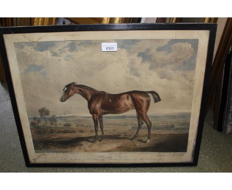 Pair of framed coloured prints of horses, ' Princess Royal ' and ' Moses ', 14ins x 19ins each with a coloured framed print, 