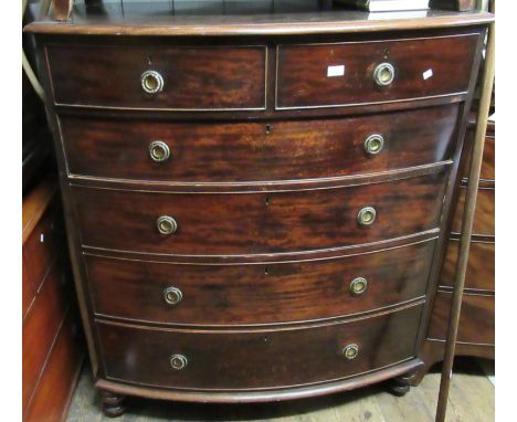 Large 19th Century mahogany bow fronted chest of two short over four long graduated drawers with brass ring handles on turned