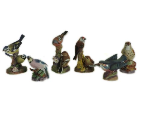 Six Royal Worcester birds, kingfisher, blue tit, thrush, linnets, chaffinches, blue tit's