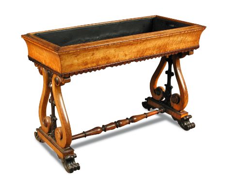 A late Regency maplewood and rosewood jardiniere stand, the rectangular top with a lapit moulded apron, on S scroll and leaf 