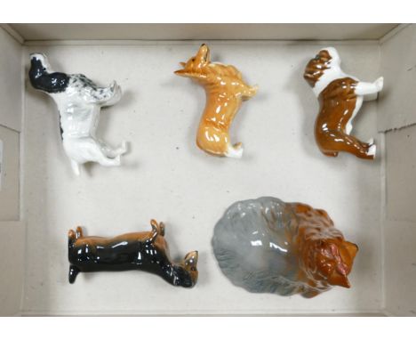 A collection of Beswick dogs to include Cocker Spaniel 1754, Begging Dachshund 1461, Corgi 1736, lying Yorkshire terrier 1944