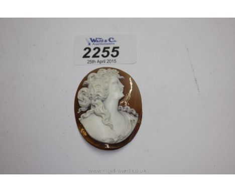 An oval Cameo depicting the bust portrait of a lady with flowing hair a/f.  Unmounted 5 cm high