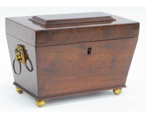 XIX Century Mahogany Tea Caddy, of sarcophagus form having brass lion ring handles, 20.5cm wide.