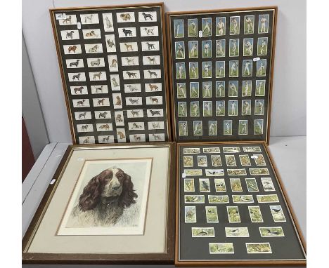 HD. Etching of Spaniel Dog, 31 x 23cm. Three Players cigarette card montages. (4)