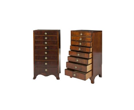 A PAIR OF 19TH CENTURY MAHOGANY TALL COMPACT PEDESTAL CHESTS BY JAMES SCHOOLBRED, TOTTENHAM COURT ROAD, LONDON, decorated wit