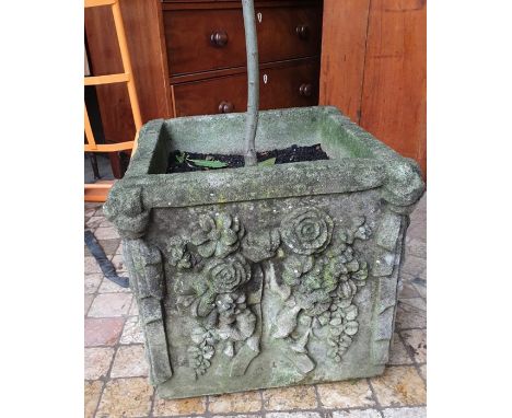 Concrete planter with a bay tree, 43 h x 47 x 47cms.
