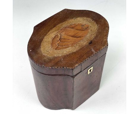 A George III mahogany, chequer strung and shell inlaid tea caddy, with rounded ends, width 14cm.
