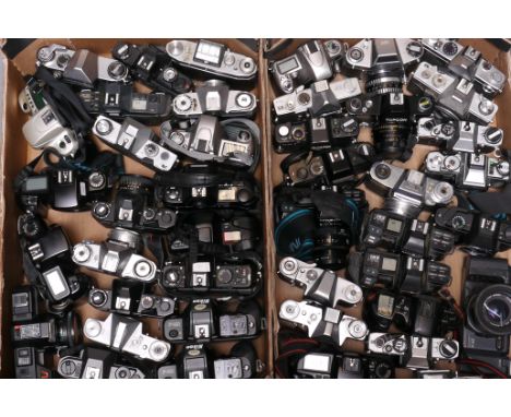 SLR Camera Bodies: a quantity including Nikon, Zeiss and others (2 Trays)