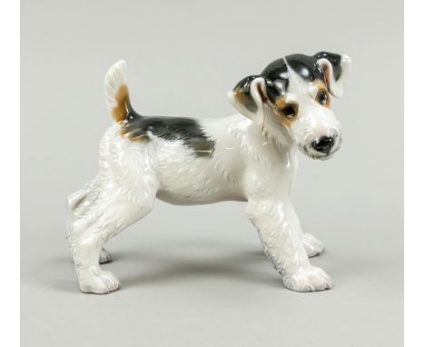   Stehender Terrier, Eschenbach, 1950er Jahre, Entwurf Prof. Theodor Kärner, u. bez.,   Modellnr. K 44, naturalistsich staffi