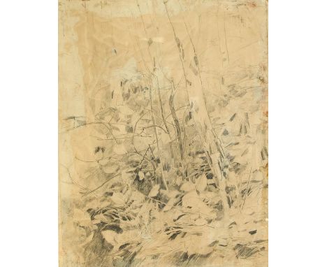   Karl Hagemeister (1848-1933), Waldstudie, Bleistiftzeichnung auf Papier über Karton, u.   li. sign. u. dat. "K. Hagemeister