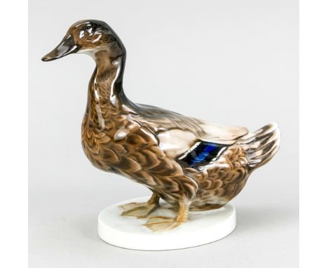   Ente, Rosenthal, Selb, 1920er Jahre, Entwurf Willy Zügel, auf dem ovalen Sockel sign.,   Modellnr. K 352/2, naturalistisch 