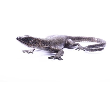 A decorative and unsual white metal lizard, with inset green eyes and scaly body, 26 cm long x 16.5 cm wide.Condition report: