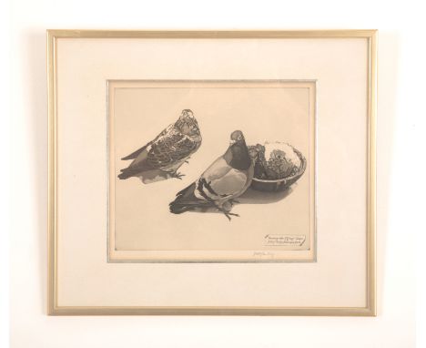 *JAMES ROBERT GRANVILLE EXLEY (1878-1967) 'Rearing the Flying Corps'a study of pigeons, titled and inscribed in plate lower r