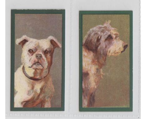 Cigarette cards, Taddy, Dogs, two cards, nos 36 & 42 (vg) (2)