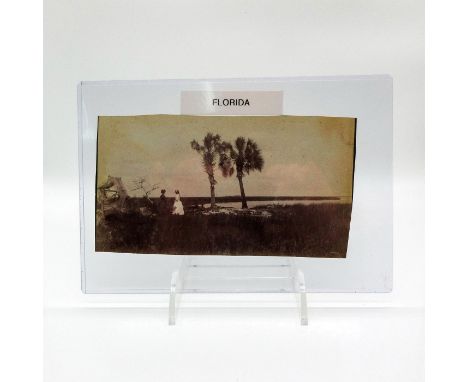 Featuring two women in dated attire, seemingly Victorian dresses. They stand in grass near palm trees and a body of water. De