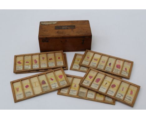 Vintage pathology slides from Sheffield University possibly previous property of Ronald Illingworth? Containing a total of 61