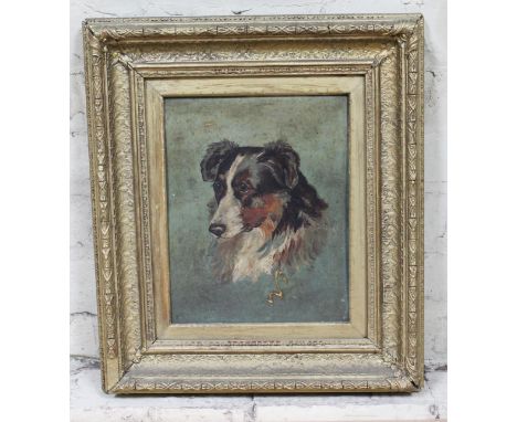 19th Century School, portrait of a dog, oil on board, 23cm x 29cm, monogrammed 'SS', framed 43cm x 49cm.