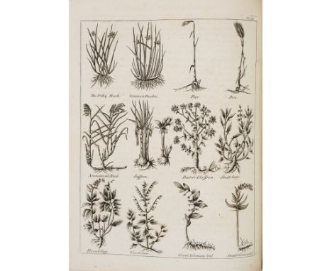 Culpeper (Nicholas) The English Physician; and Complete Herbal, engraved frontispiece and plates, occasional light spotting,c