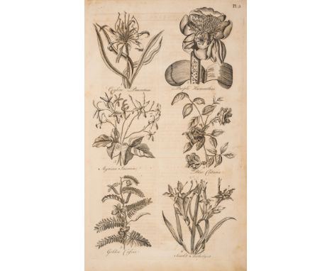 NO RESERVE Gardening.- [Hale (Thomas)] Eden: or, a Compleat Body of Gardening, first edition, compiled by Sir John Hill, engr