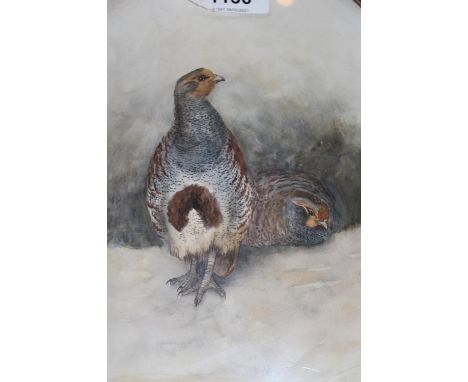 J. Stinton (Royal Worcester artist), oval watercolour study of two game birds, signed, 9.5ins x 7.5ins, gilt framed 