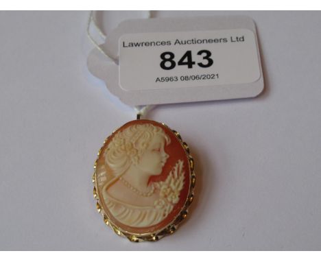 14ct Gold mounted carved shell cameo portrait brooch 