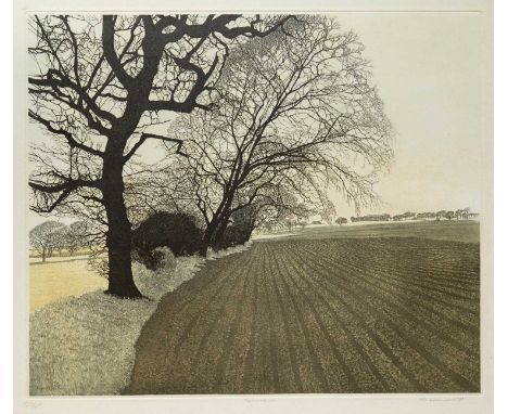 Phil GREENWOOD (1943) Furrows Etching and Aquatint printed on Somerset paper, signed, edition 214/250, COA from Christie's Co