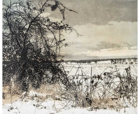 Phil GREENWOOD (1943) Snow Thorn Etching and Aquatint printed on Somerset paper, signed, edition 119/250, dated '81, COA from