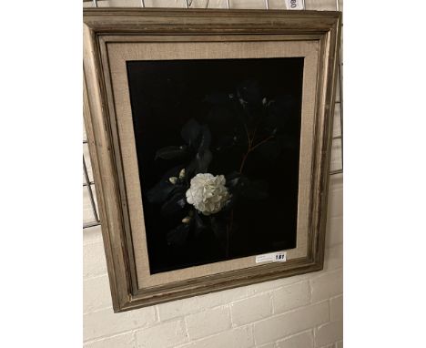 MILLICENT ETHELDREDA GRAY 1873-1957 OIL ON BOARD ''STILL LIFE OF CAMELIAS'' SIGNED - 31 X 39 CMS